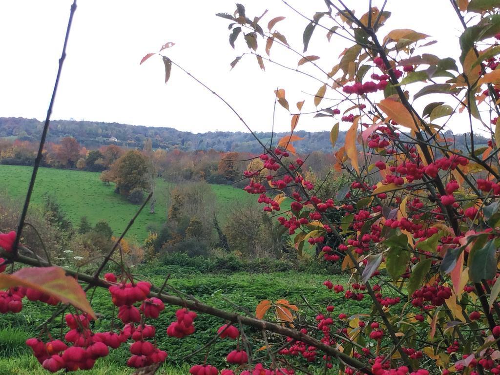 L'Oisellerie Cottages Le Renouard エクステリア 写真